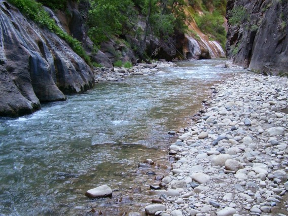 Stream temperatures are expected to increase as the climate warms, which could have direct and indirect effects on aquatic ecosystems.